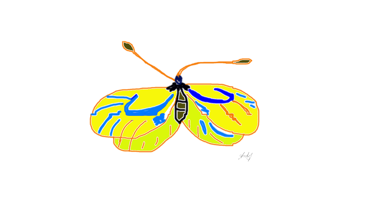 Moth-Artwork.png