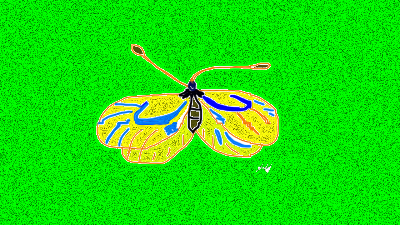 Moth-Artwork-2.png