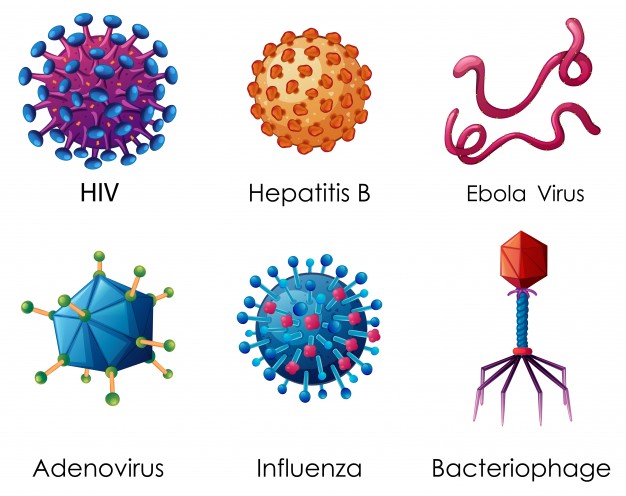 seis-tipos-de-virus-en-el-fondo-blanco_1308-3293.jpg