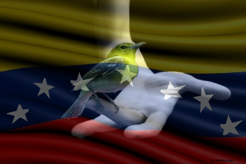 album nav bandera venezuela 7 estrellas 8 firmada.png