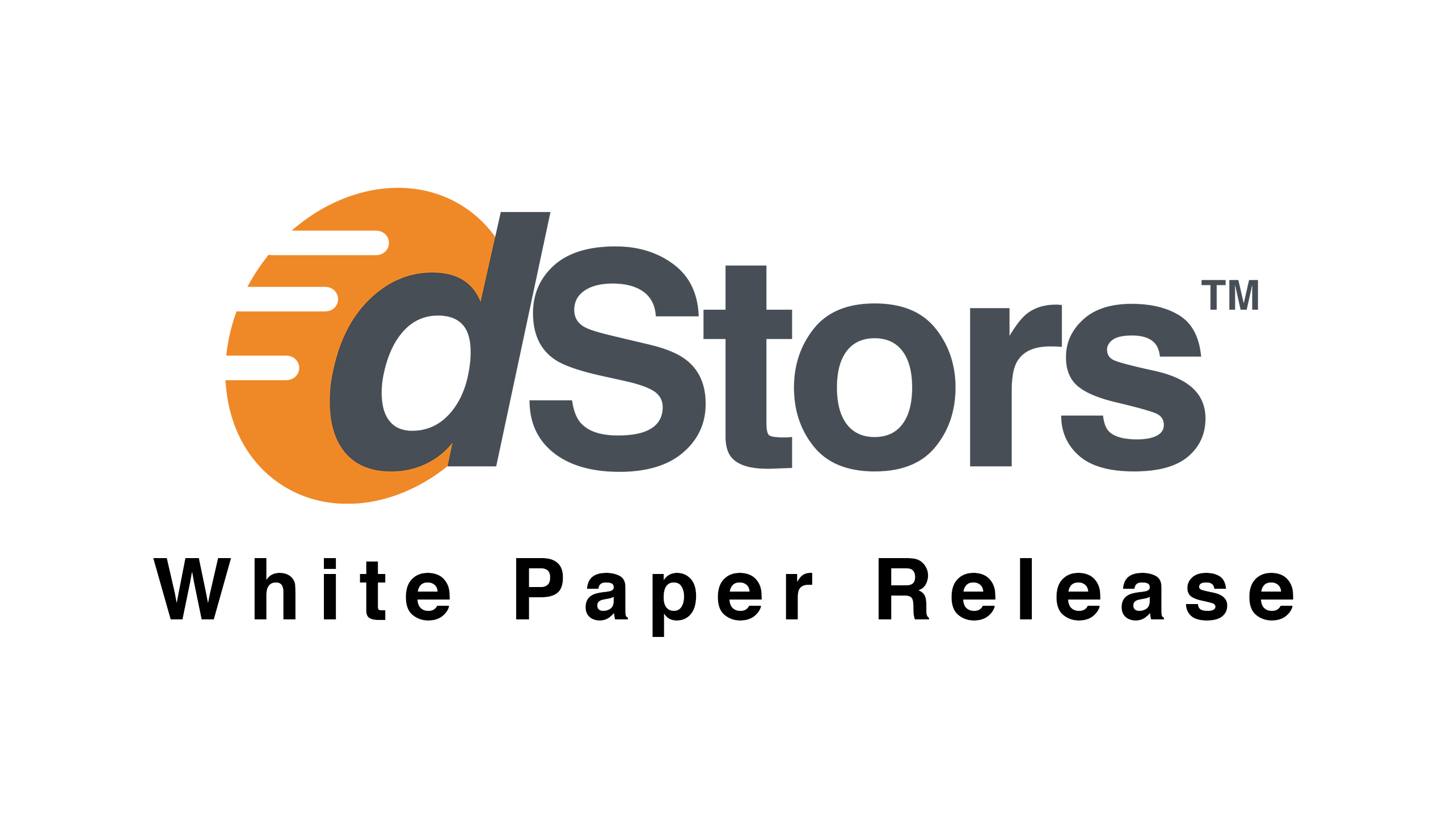 DSTORES whitepaper cover.png