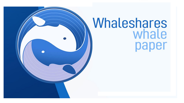 whale_paper.png