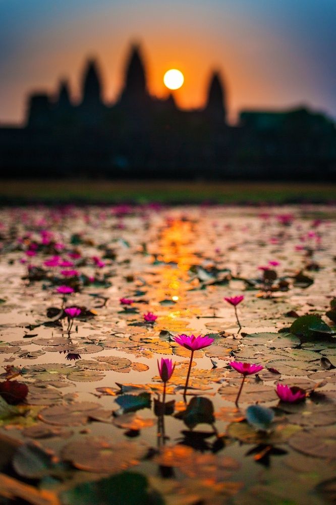 Angkor Wat, Cambodia _ My Photo.jpg