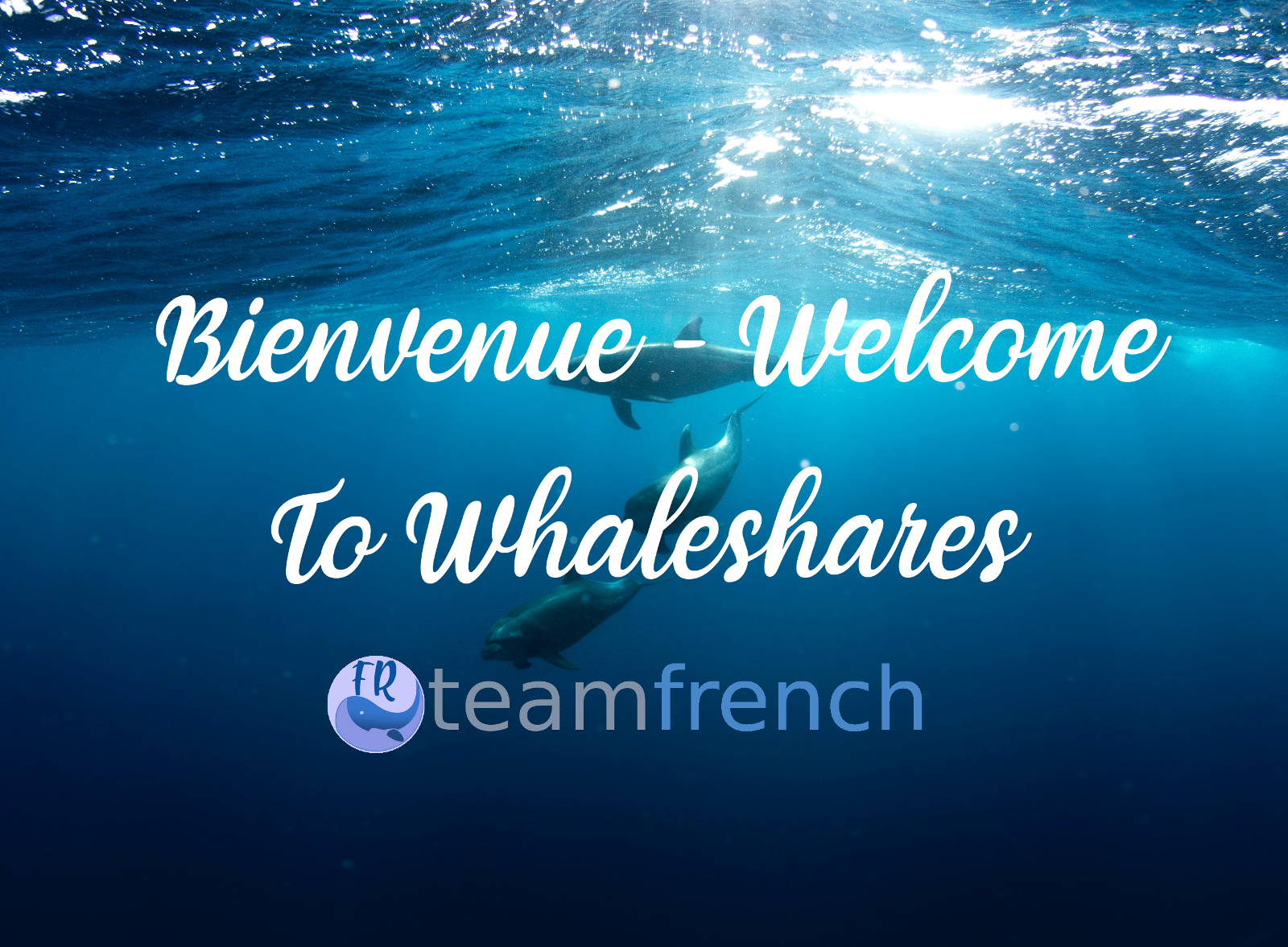 teamfrench-welcome-to-wls.jpg
