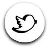 Twitter bird icon 100px 90dpi.png