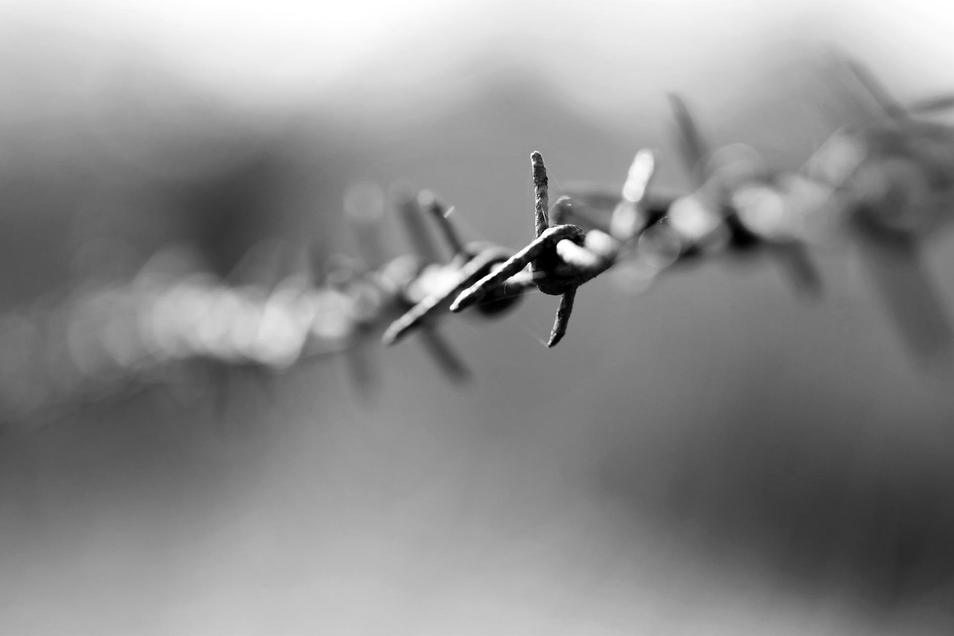 barbed-wire-g39d9f2f79_1920.jpg