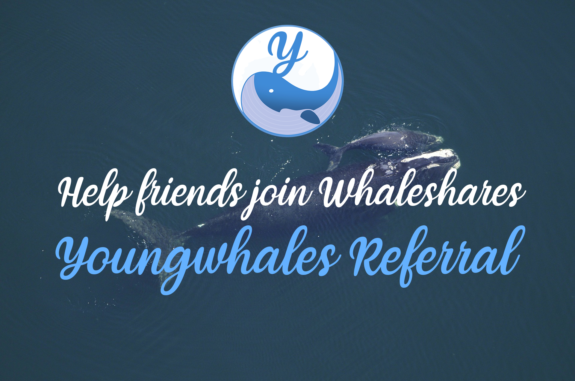 youngwhales-referral-0.png